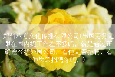 郑州八方文化传播有限公司(出国劳务是跟在国内找工作差不多吗，就是通过正确途径找外国公司，看他是否招聘，看他愿意招聘你吗，)
