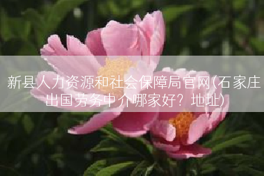 新县人力资源和社会保障局官网(石家庄出国劳务中介哪家好？地址)