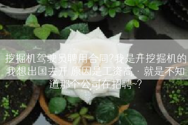 挖掘机驾驶员聘用合同?我是开挖掘机的我想出国去开 原因是工资高·就是不知道那个公司在招聘~?