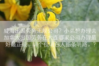 威海出国劳务正规公司？小弟想办理去加拿大出国劳务在大连哪家公司办理最好最正规。请个位明白人指条明路。？