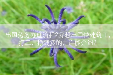 出国劳务办理流程?我想出国做建筑工，打工，挣钱多的，谁能介绍?