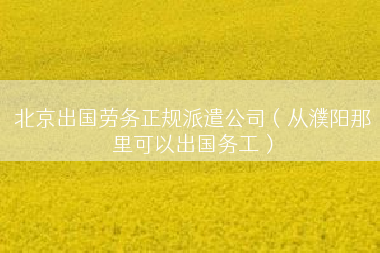 北京出国劳务正规派遣公司（从濮阳那里可以出国务工）