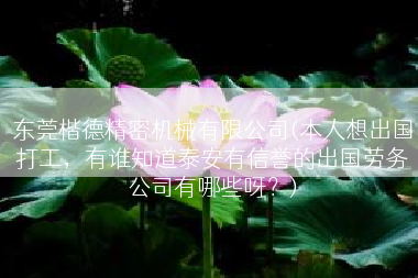 东莞楷德精密机械有限公司(本人想出国打工，有谁知道泰安有信誉的出国劳务公司有哪些呀？)