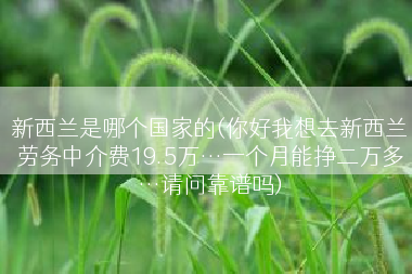 新西兰是哪个国家的(你好我想去新西兰劳务中介费19.5万…一个月能挣二万多…请问靠谱吗)