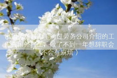 出国劳务打工（通过劳务公司介绍的工作去国外打工，做了不到一年想辞职会不会有麻烦）