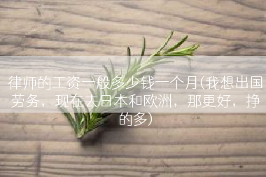 律师的工资一般多少钱一个月(我想出国劳务，现在去日本和欧洲，那更好，挣的多)