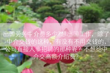出国劳务中介费多少?想出国工作，除了中介交钱的这种，有没有不用交钱的，公司直接人事招聘的那种呢？不想给中介交高额介绍费?