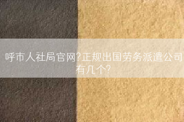 呼市人社局官网?正规出国劳务派遣公司有几个?