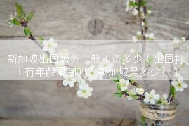 新加坡出国劳务一般工资多少（出国打工有年龄限制吗？新加坡是多少？）