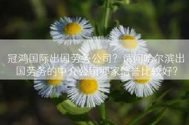 冠鸿国际出国劳务公司？请问哈尔滨出国劳务的中介公司哪家信誉比较好？