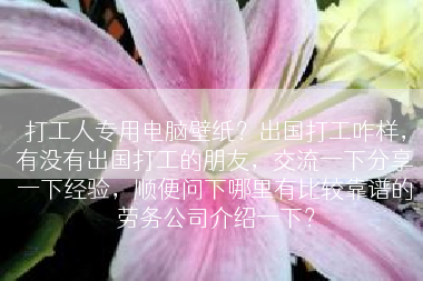 打工人专用电脑壁纸？出国打工咋样，有没有出国打工的朋友，交流一下分享一下经验，顺便问下哪里有比较靠谱的劳务公司介绍一下？