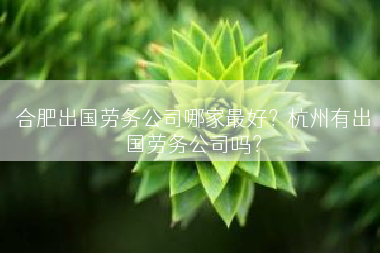 合肥出国劳务公司哪家最好？杭州有出国劳务公司吗？