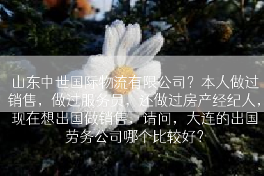 山东中世国际物流有限公司？本人做过销售，做过服务员，还做过房产经纪人，现在想出国做销售，请问，大连的出国劳务公司哪个比较好？