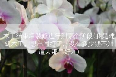 木工结束后装修进行到哪个阶段(我是建筑木工，想出国打工，没有多少钱不知道去那里好。)