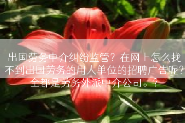 出国劳务中介纠纷监管？在网上怎么找不到出国劳务的用人单位的招聘广告呢？全都是劳务外派中介公司。？