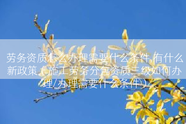 劳务资质怎么办理需要什么条件,有什么新政策（施工劳务分包资质三级如何办理/办理需要什么条件）