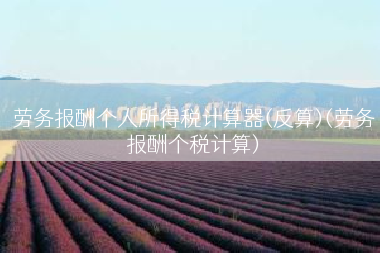 劳务报酬个人所得税计算器(反算)(劳务报酬个税计算)