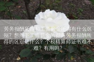 劳务报酬所得和工资薪金所得有什么区别？想问下工资薪金所得与劳务报酬所得的区别是什么？个税精算师证书难不难？有用吗？