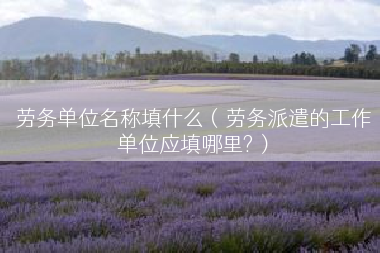 劳务单位名称填什么（劳务派遣的工作单位应填哪里?）