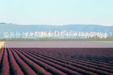 劳务外包合同范本？劳务外包合同范本？