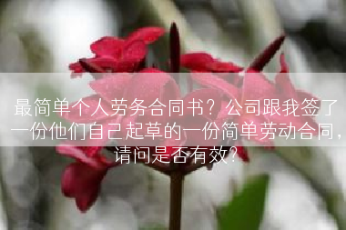 最简单个人劳务合同书？公司跟我签了一份他们自己起草的一份简单劳动合同，请问是否有效？