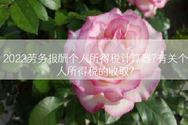 2022劳务报酬个人所得税计算器?有关个人所得税的收取?