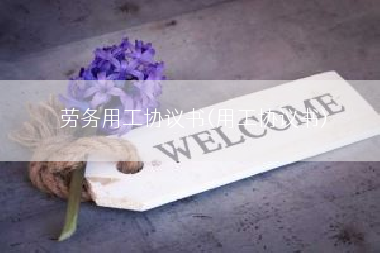 劳务用工协议书(用工协议书)