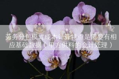 劳务分包模式成本计算特点是需要有相应基础数据（甲方供料的会计处理）