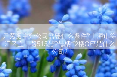 开劳务中介公司需要什么条件?上海市徐汇区宜山路515号2号楼12楼G座是什么公司?
