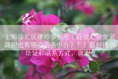 上海徐汇区律师事务所（在徐汇区龙吴路附近有哪些劳务中介？？？最好提供地址和联系方式，谢谢）