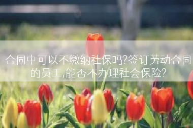 合同中可以不缴纳社保吗?签订劳动合同的员工,能否不办理社会保险?