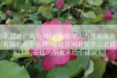 奉贤区广告公司(上海问鼎人力资源服务有限公司怎么样?地址在闸北区中山北路831弄,去过的朋友来给个建议？)