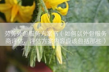 劳务外包服务方案书（如何就外包服务商评估，评估方案内容应该包括那些）