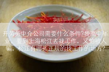 开劳务中介公司需要什么条件?我高中毕业，要到上海松江去找工作，又怕被人骗，松江有哪些正规的找工作的地方?