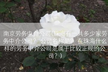 南京劳务中介公司(珠海有一共多少家劳务中介公司？ 公司名称是？ 在珠海什么样的劳务中介公司是属于比较正规的公司？)