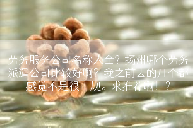 劳务服务公司名称大全？扬州哪个劳务派遣公司比较好啊？我之前去的几个都感觉不是很正规。求推荐啊！？
