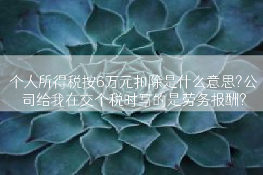 个人所得税按6万元扣除是什么意思?公司给我在交个税时写的是劳务报酬?