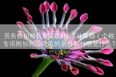劳务费扣税标准2021标准计算器（个税专项附加扣除政策的条件和标准是什么？）
