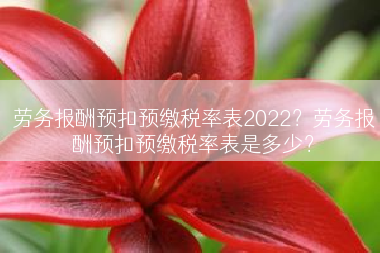 劳务报酬预扣预缴税率表2022？劳务报酬预扣预缴税率表是多少？