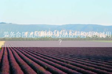 劳务合同试用期限?劳动合同约定的试用	</div>
				<div class=