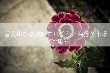 普陀山旅游攻略二日游？上海劳务市场在哪里？