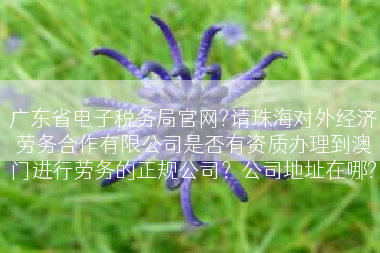 广东省电子税务局官网?请珠海对外经济劳务合作有限公司是否有资质办理到澳门进行劳务的正规公司？公司地址在哪?