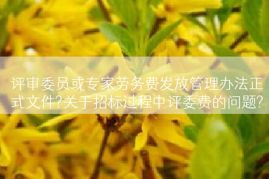评审委员或专家劳务费发放管理办法正式文件?关于招标过程中评委费的问题?