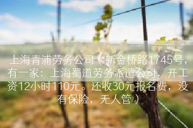上海青浦劳务公司（新金桥路1745号，有一家：上海蜀道劳务派遣公司，开工资12小时110元。还收30元报名费，没有保险，无人管）