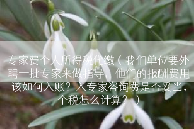 专家费个人所得税代缴（我们单位要外聘一批专家来做指导，他们的报酬费用该如何入账？入专家咨询费是否妥当，个税怎么计算？）