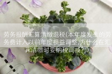 劳务报酬汇算清缴退税(本年度发生的劳务费计入以前年度损益调整,为什么在汇算清缴时要纳税调减？)