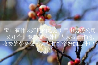 宝山有什么好玩的地方（宝山劳务公司又几个，专门提供外地人人找工作的，收费的劳务公司会帮忙找个好的工作吗？）