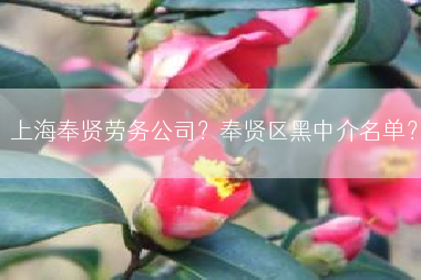 上海奉贤劳务公司？奉贤区黑中介名单？