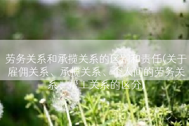 劳务关系和承揽关系的区别和责任(关于雇佣关系、承揽关系、个人间的劳务关系、帮工关系的区分)