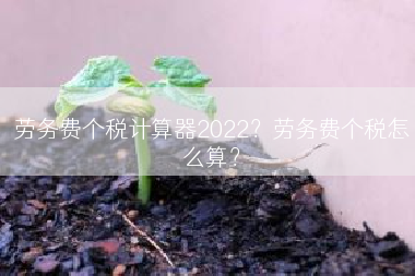 劳务费个税计算器2022？劳务费个税怎么算？